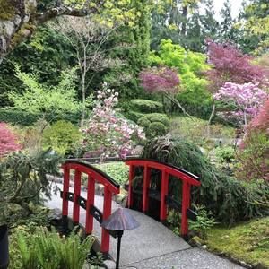 Meet your Posher, Sadie